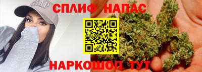 прущие грибы Донской